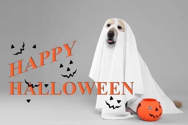 Happy Halloween from American Home Mortgage Group LLC